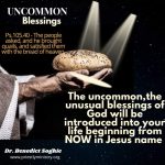 Uncommon Blessings Some blessings are not normal, they take the unusual form. Imagine a one time slave becoming a prince in a foreign country where he wasn't voted into power but elected by grace. No question, suggestions or opinion was required but a mandate that a man called Joseph must have his status change. Manner dropped from heaven and they wondered...manner in it sense means; WHAT IS THIS? Bread from heaven. Who baked it? How did it discovered their camp? How come they had enough to satisfy them? UNCOMMON!!! I decree the uncommon acts of God to begin to happen for you in Jesus name #season #miracle #gospel #grace #testimonial #engagement #fearless #joy #peace #blood #drbenedict